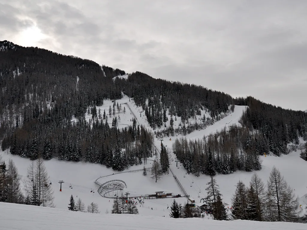 Blick über das Tal auf den bewaldeten Hang und die Talstation.